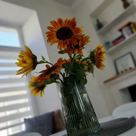 Apartment Scandi *